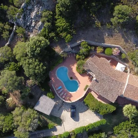 Picuccia - Costa Smeralda